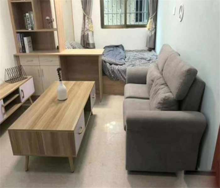 松崗集資房:藝麗家園