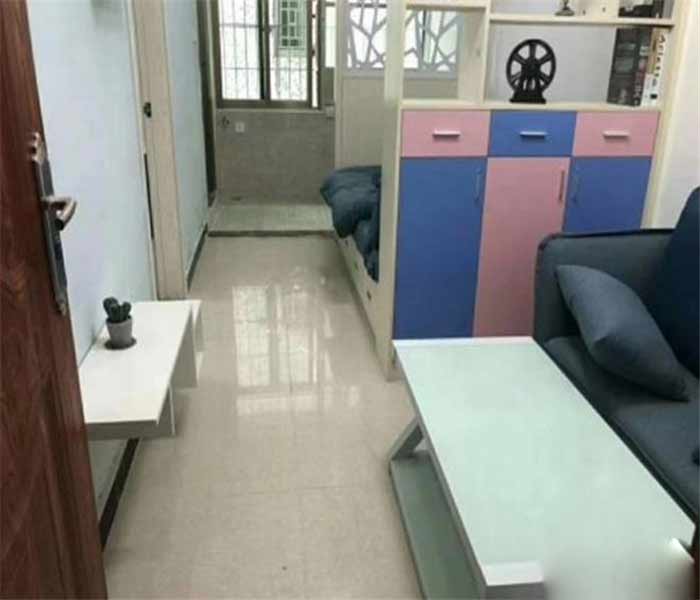 松崗集資房:藝麗家園