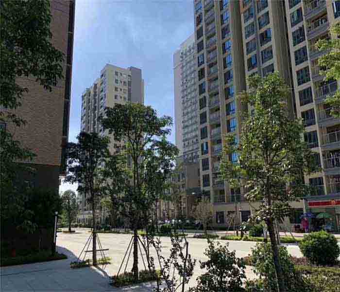 松崗村委統建樓:匯豐花園