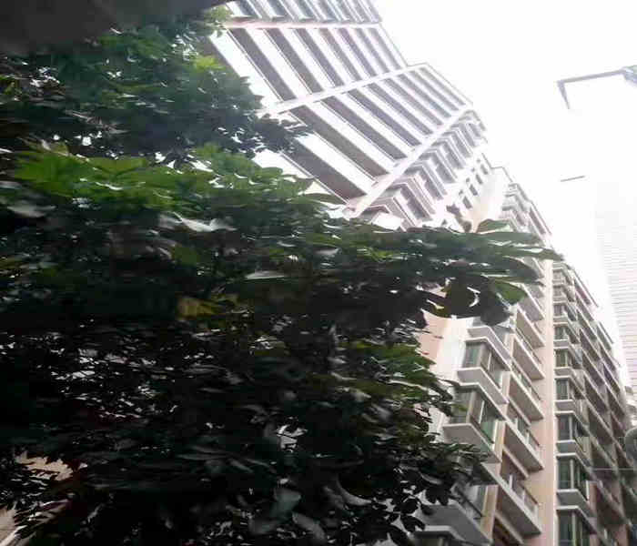 公明小產權房新樓盤:馬田大廈