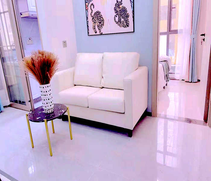 民治沙元埔小產(chǎn)權(quán)房出售-民治金典，離5號線民治地鐵站200米