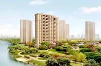 南頭村委統(tǒng)建樓-麒麟學(xué)府四棟花園房，精裝修家電，拎包入住